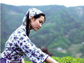 现代茶诗《鹧鸪天·黄山毛峰》赏析_描写安徽名茶黄山毛峰的古诗_关于茶的诗句
