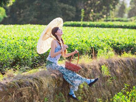 经典茶诗妙句《僧童煮茗烧红叶 游客题诗扫绿苔》赏析_关于煮茶品茶的诗句