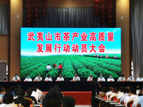 东方六禾打造中国东方茶代名词，积极助力武夷茶产业升级