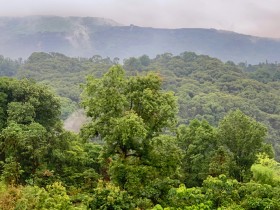 《寻茶之旅》中国名山茶品牌龙叙堂:十大名茶产地福鼎白茶篇