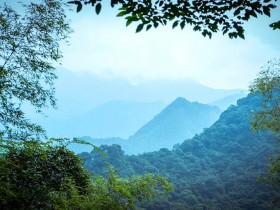 《寻茶之旅》中国名山茶品牌龙叙堂:十大名茶产地金骏眉篇