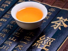 龙叙堂茶业诠释中国名山茶新定义：名茶→名山茶→小名山茶