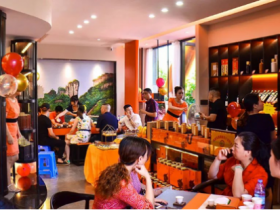 龙叙堂朱芳:专心弘扬与传播中国茶文化,积极推动茶行业发展