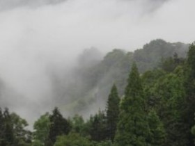 李德载茶诗《喜春来·赠茶肆》赏析_关于蒙顶山茶和蒙顶甘露的古诗
