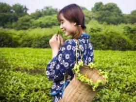 清代闵钧茶诗《采茶》注释赏析_关于采茶的诗句_古人采茶有什么讲究