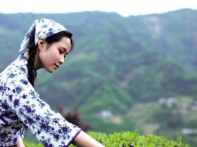 【组图】描写少女采茶的诗句《铁观音采茶歌》_关于春天采茶的精美茶诗