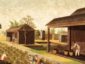 唐代诗人皮日休《茶中杂咏·茶舍》注释/翻译/赏析_关于春茶新茶的诗句古诗