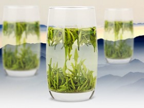 安吉白茶的九大茶叶知识