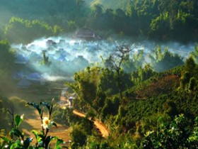 描写普洱茶文化的诗句《赋澜沧景迈栽培型万亩古茶林》赏析_赞美普洱古树的茶诗