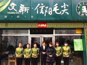 最新十大信阳毛尖品牌排名排行榜