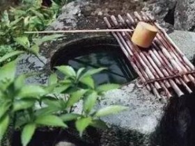 苏轼茶诗80首之《惠山烹小龙团》赏析