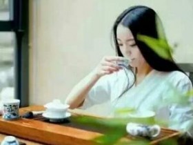 苏轼茶诗80首之《记梦回文二首(并叙)》其一赏析
