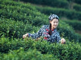 苏轼茶诗80首之《寄周安孺茶》赏析