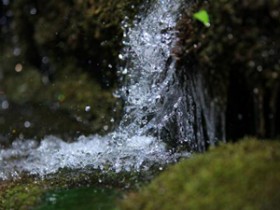 苏轼茶诗80首之《焦千之求惠山泉诗》赏析