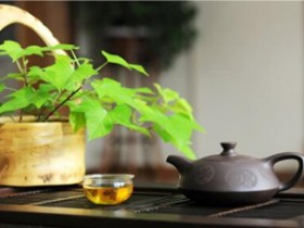 赵朴初的最美经典茶诗《吟茶诗》赏析