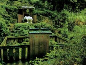 御顿禅茶品牌起源发展史