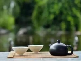 苏轼茶诗80首之《新茶送签判程朝奉以馈其母有诗相谢次韵答之》赏析