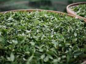 漳平水仙茶什么牌子好