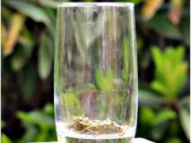 五峰毛尖的冲泡方法图解