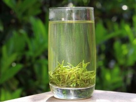 五峰毛尖和信阳毛尖哪个好