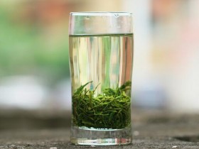 最新湖南安化松针价格行情