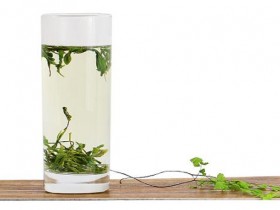 安化松针25克×4盒价格