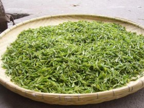 安化松针的工艺特点