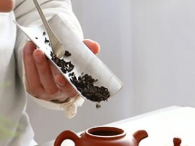 碧螺春怎么泡才好喝图解
