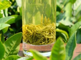 洞庭碧螺春是绿茶吗
