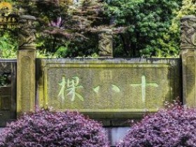 【乾隆赐名】关于西湖龙井起源故事传说100字简短版