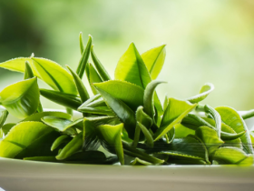 婺源毛尖怎么泡