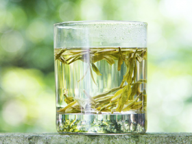 贵定云雾茶的冲泡方法