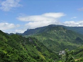 【龙井和大方茶的区别】深度揭秘老竹大方和西湖龙井的三大区别