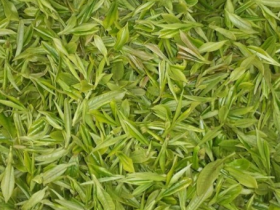 鸠坑毛尖属于毛尖茶吗