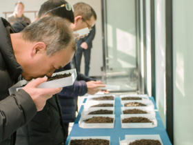 《陈年武夷岩茶储存技术规范》标准获批公示，东方六禾推动岩茶品类升级