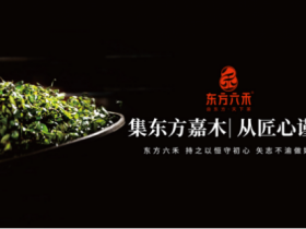 东方六禾依托坚实根基和文化优势，倾力打造中国老岩茶第一品牌