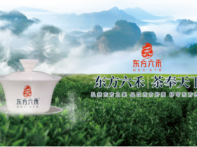 东方六禾实现品牌多元化发展，引领中国茶行业项目投资新高地