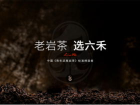 老岩茶·选六禾：中国武夷陈岩茶标准缔造者东方六禾十大茶叶连锁支持