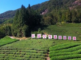 为盛世寻好茶,龙叙堂携手非遗大师再现中国茶魅力
