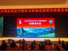 东方六禾积极贡献品牌力量,助推全民健康科学饮茶