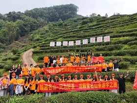 龙游武夷·寻茶山水间│2024龙叙堂精英团队武夷山寻茶研学之旅