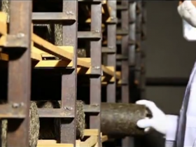 彩程茶叶:历经五代传承,谱写普洱新篇章