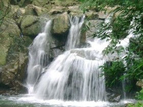 【平水珠茶品牌哪个好】有哪些性价比高的平水珠茶推荐