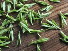 【千岛玉叶·茶叶知识合集】千岛玉叶属于什么茶_最新千岛玉叶价格多少钱一斤