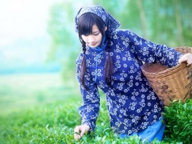 【最新千岛玉叶茶价格表】浙江名优绿茶千岛玉叶价格多少钱一斤