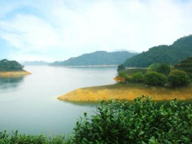 【千岛玉叶礼盒价格】浙江名优绿茶千岛玉叶价格多少钱一盒