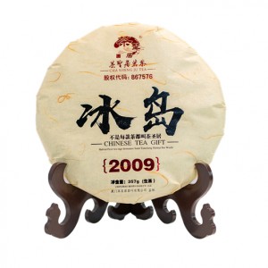 2009冰岛