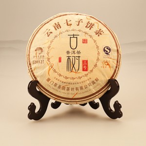 2012圣韵-古树三号