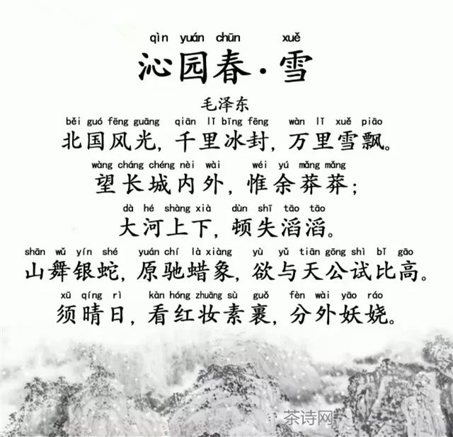 深度整体分析《沁园春·雪》中抒发了怎样的思想感情_沁园春雪读后感_茶诗网